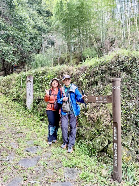 熊野古道中邊路D1 紀伊田邊、潮見峠O繞 2025.3.162744442