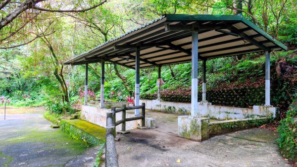 你若來汐止2961401