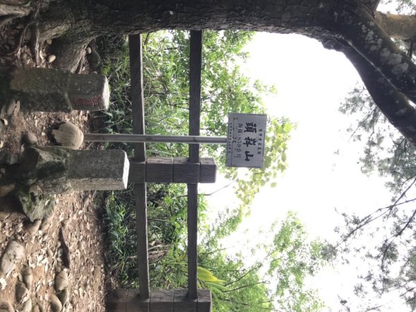 大坑4號頭嵙山1742988