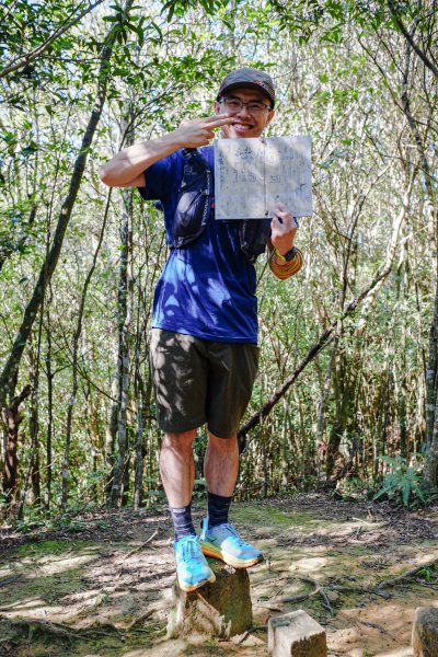 桃園復興區 處暑‧北插天山岩戶線2868411