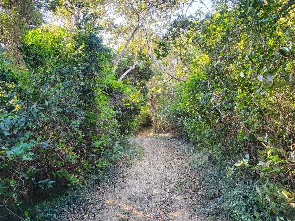 帽子山步道1237724