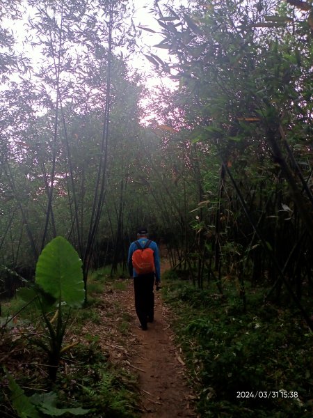 【臺北大縱走 6】中華科大→捷運麟光站、【小百岳集起來】#013 南港山 H375m2470644