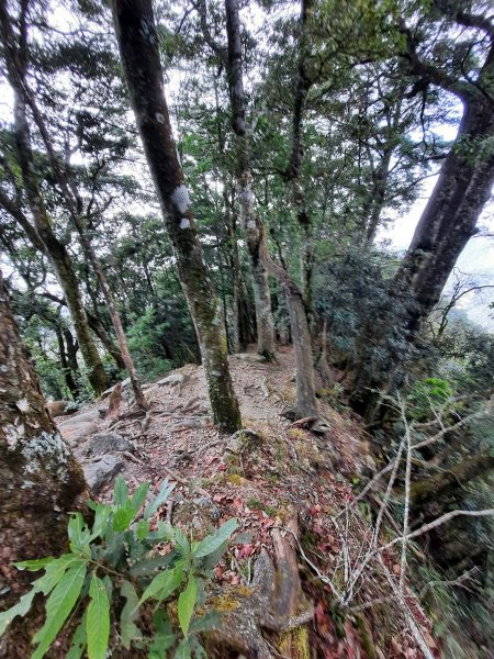 20230127 台中稍來山（中級山小百岳），未完屋我尾，阿水牛肉城2008156