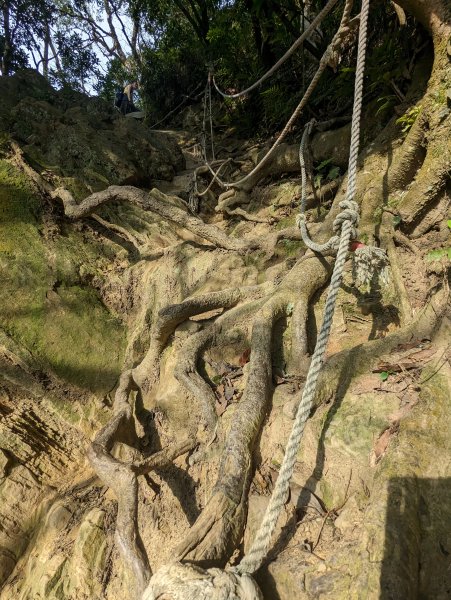 苗栗小百岳-⛰仙山登山步道2192858