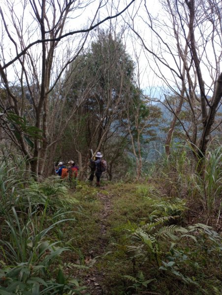 雷公埤山-鱷魚島觀景-小格頭獅頭山2001519