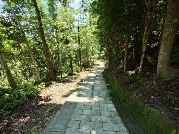萬年峽谷步道3078766