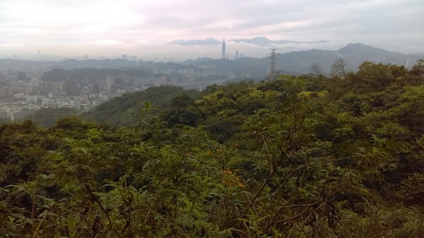 【臺北大縱走7】飛龍步道、樟山寺、銀河洞878174