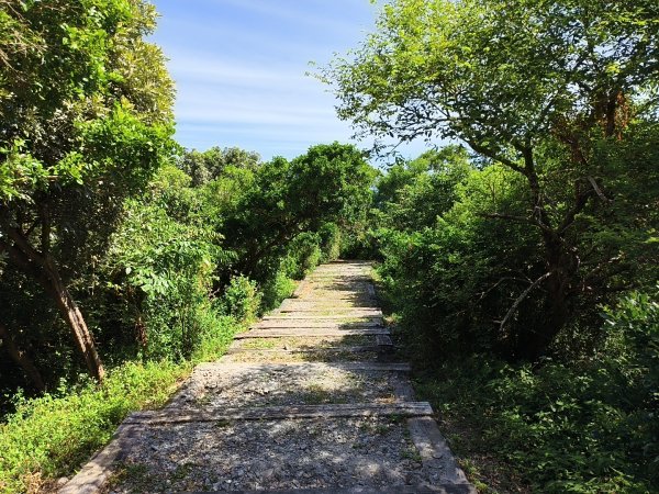 [漫遊縱谷 愛在花東-01/10] 2025_1011 大武觀海步道2912920