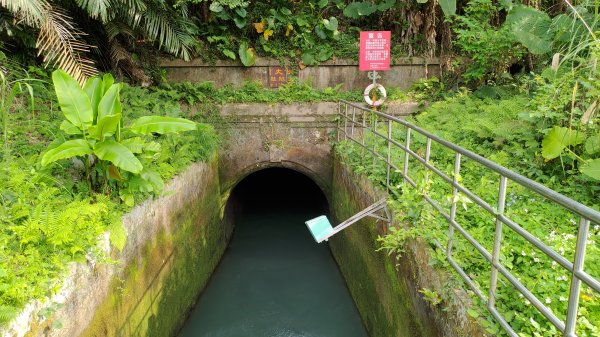 2026樟之細路 | 第一大段 | 三坑~關西 | RSA01~113041133