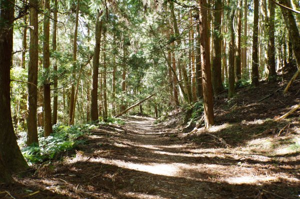 新竹 五峰 西高橋山、霞喀羅大山2959322