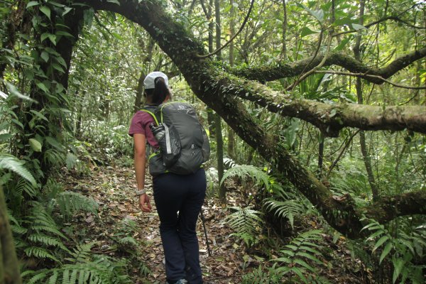 淡蘭古道北路坐山望海1253884