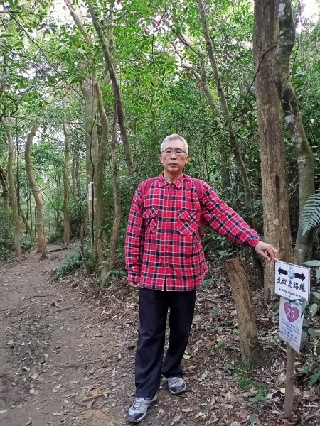 【臺北大縱走 4】大崙頭山北面步道1249615