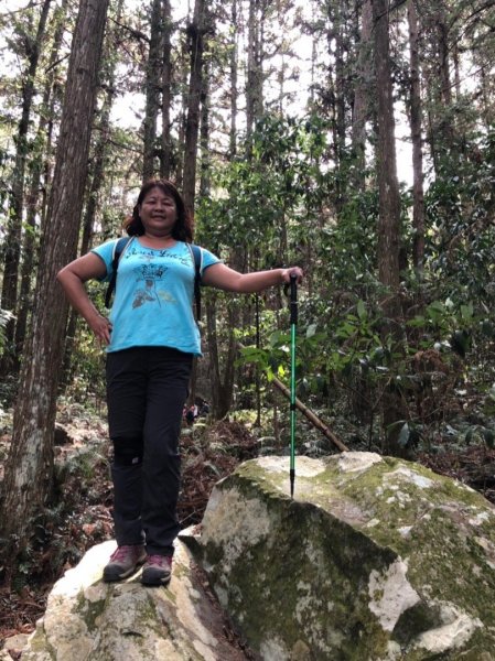 八仙山國家森林遊樂區527121