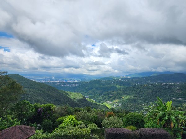 小百岳No.8⛰大崙頭山2594056