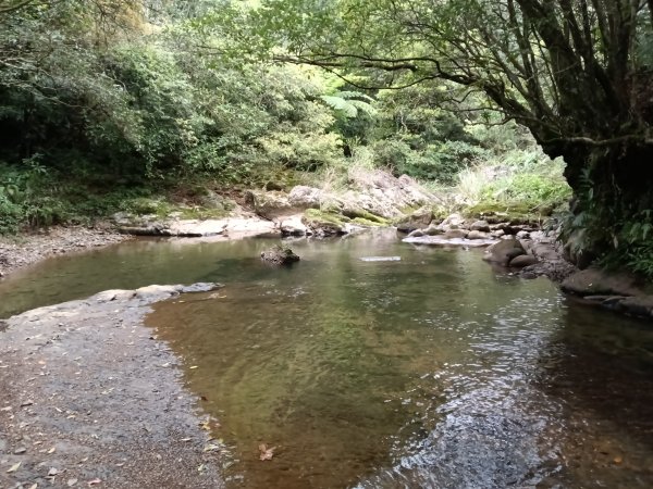 雙溪區打鐵寮山-鶯子嶺-坪溪山-烏山63號-烏山越嶺古道(坪溪山北峰)P字走3023800