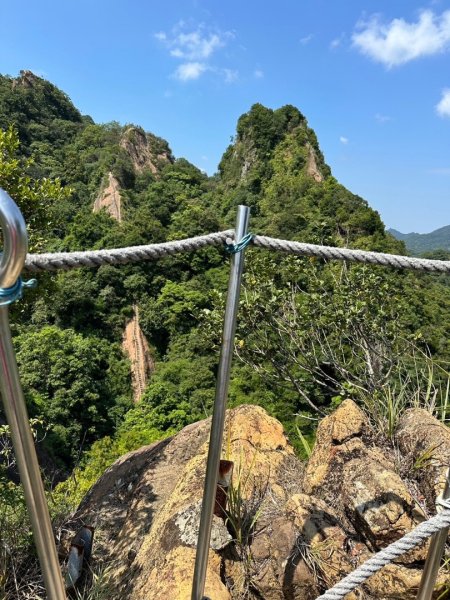 孝子山、普陀山、慈母峰賞鹿子野百合O走2592982