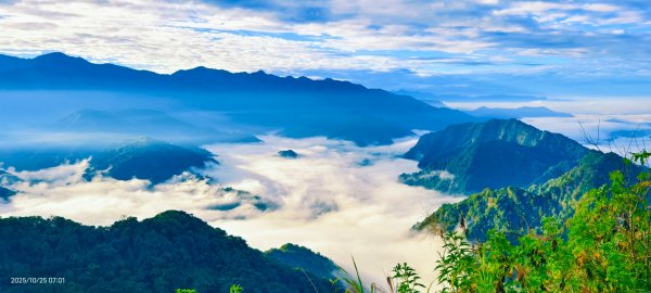 #馬那邦山 #琉璃光 #日出 #雲海 #山羌 #楓葉 10/25 & 11/12924623