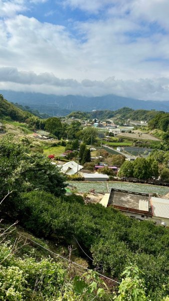 馬那邦山O走2370128