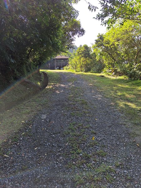 20260919草嶺古道3120770