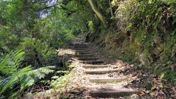 福山部落,內洞森遊區2552401