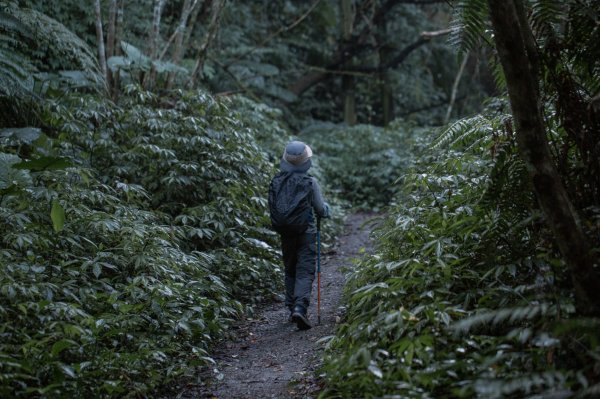 微笑山線 筆架連峰段段｜健行筆記尋寶任務2824770