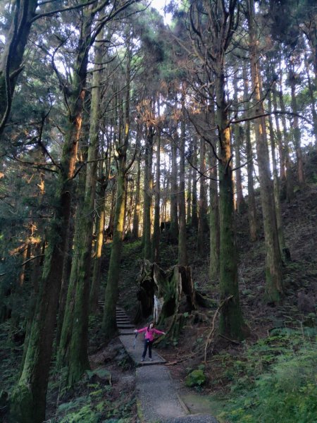 小百岳(59)-大塔山-202209251878797
