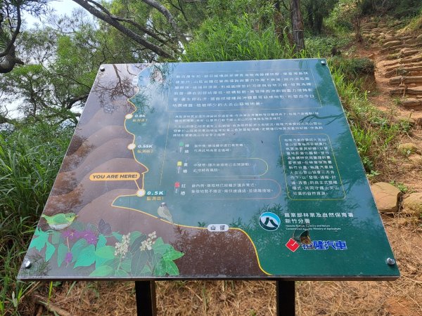 苗栗火炎山，南鞍古道O走3118392