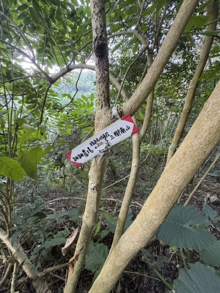 20251123三腳南山登山步道2944454