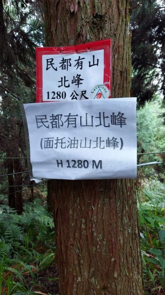 〔中級山〕新竹五峰鄉 民都有山（面托油山）民都有北峰2307358