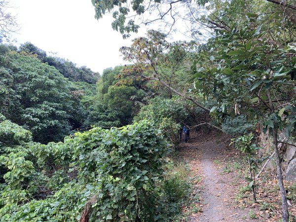 20260124屏東老佛山-老佛山南峰2992217