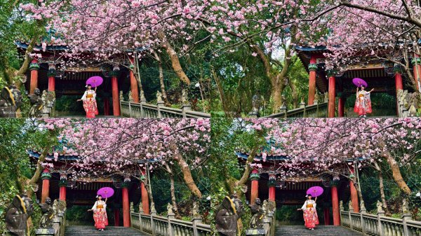 內湖碧山巖 2/18封面