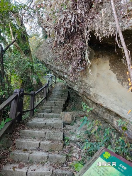 崁頭山漫遊818173