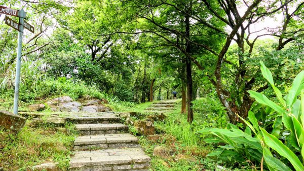 大尖山步道2833798