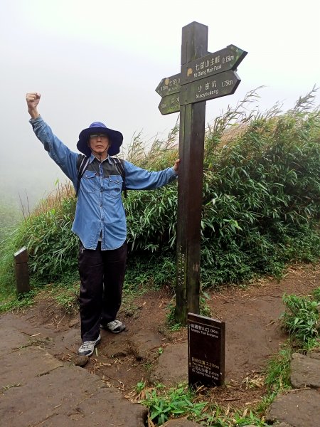 【臺灣百大必訪步道】七星山主、東峰步道1187467