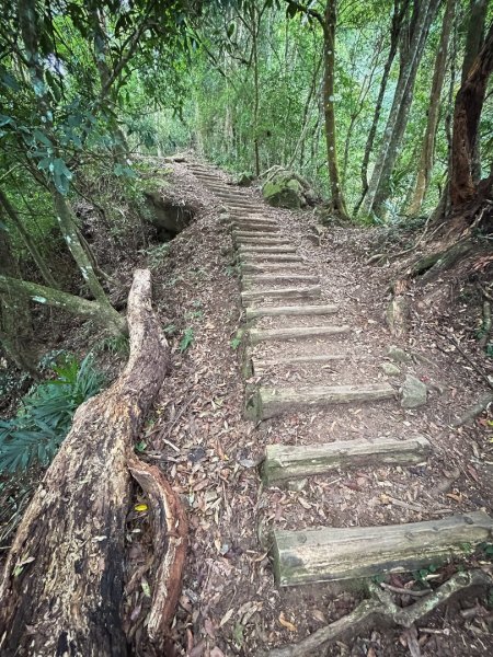 馬那邦山的雲海季2650905