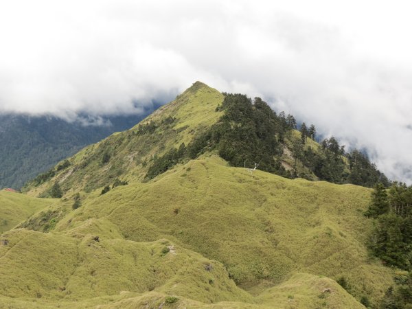 合歡山東峰-尖山-小奇萊-石門山2513134