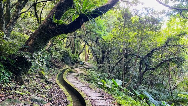 新北石門|老梅溪青山瀑布步道|台版奧入瀨溪|夏日消暑秘境|清涼親子景點1975456