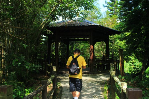 台南虎形山公園步道202009191159503