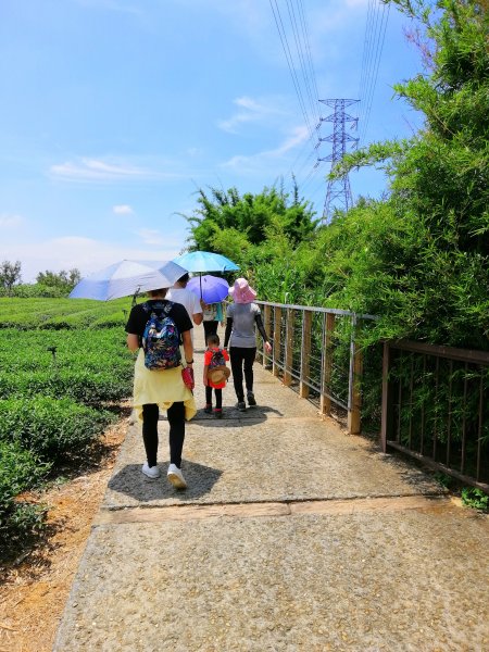 彰化社頭~陡直天梯好視野~中央嶺造林步道1101644