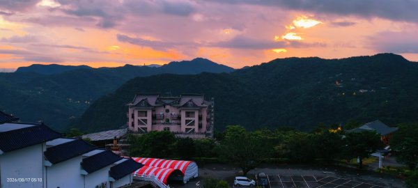 #豔紅鹿子百合 #大鳳蝶（有尾型雌） 8/173108432