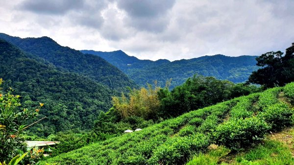 平溪中央尖山，慈恩嶺，東勢格越嶺古道，石碇鱷魚島，南港白匏湖，橫科彈藥庫舊址1751660