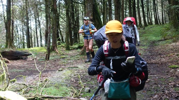 雙龍林道上巒安堂西巒大山1778990