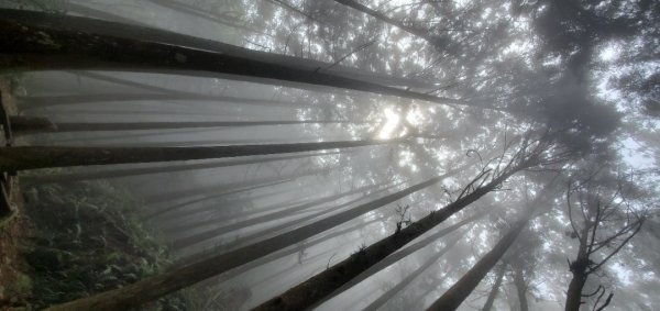 橫沙迪O型縱走_大雪山社區登山口2826549