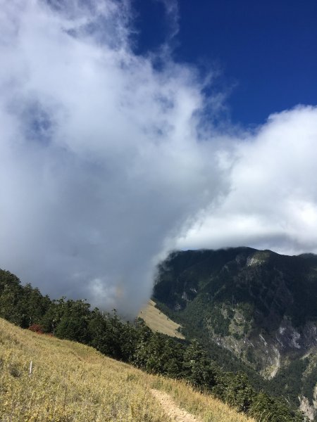 雪山 不下雪533109