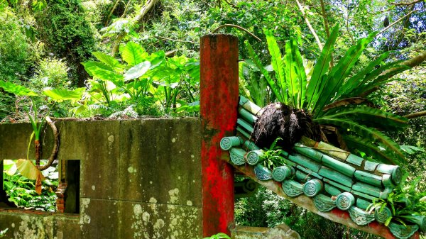 微笑山線和美山螢火蟲段2845894