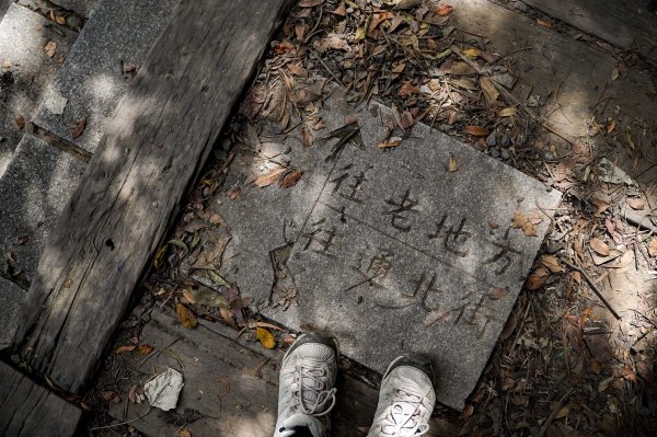 劍潭山小百岳｜老地方觀機平台2886006