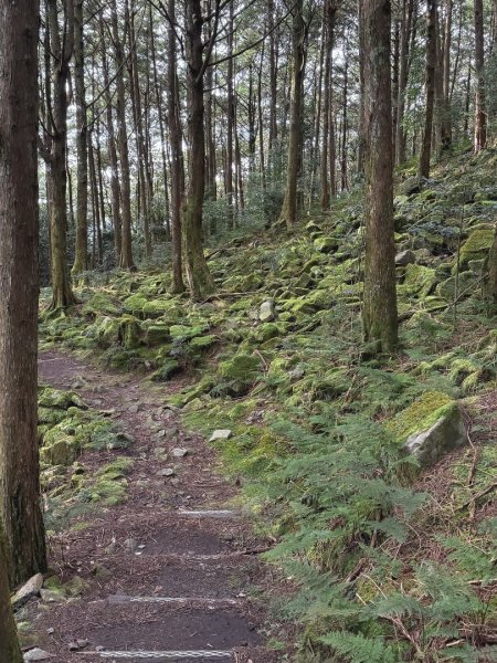 船型山林道賞雲海、烏石坑山、2432峰 山景海景一次到位2929316