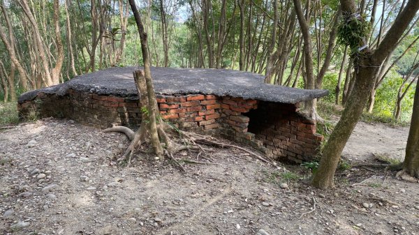 尚書林山步道(鳳凰山)2730899