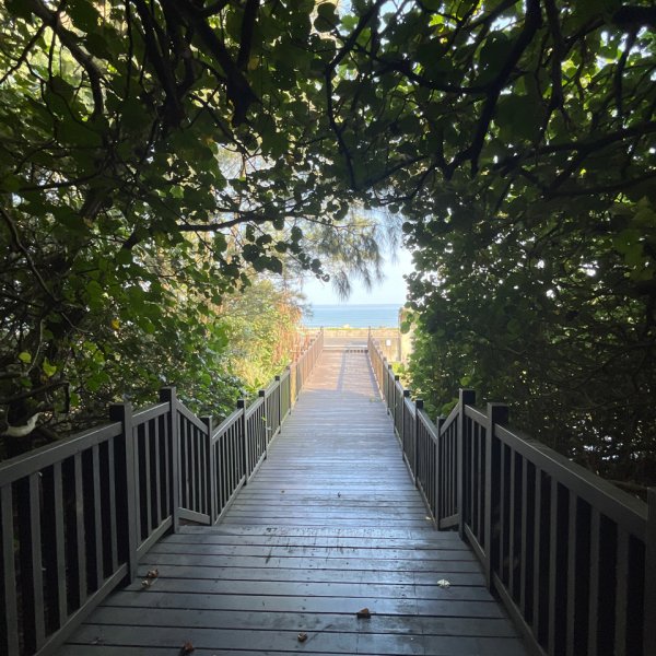 宵裡好風光2828953