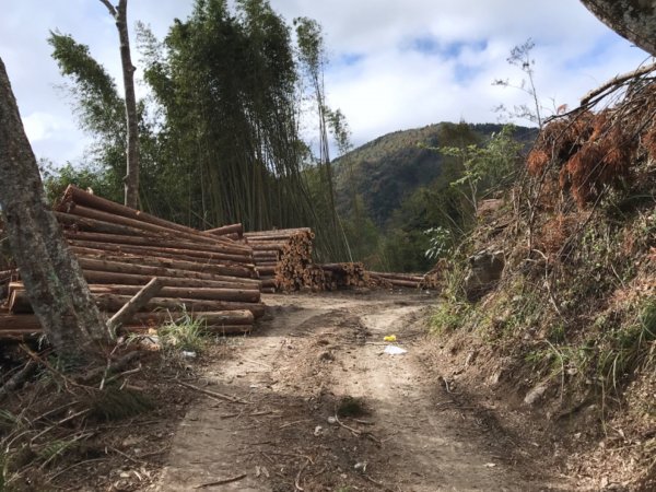 霞喀羅古道走石鹿大山474770